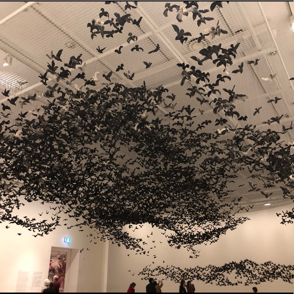 Meet your Posher, Kim